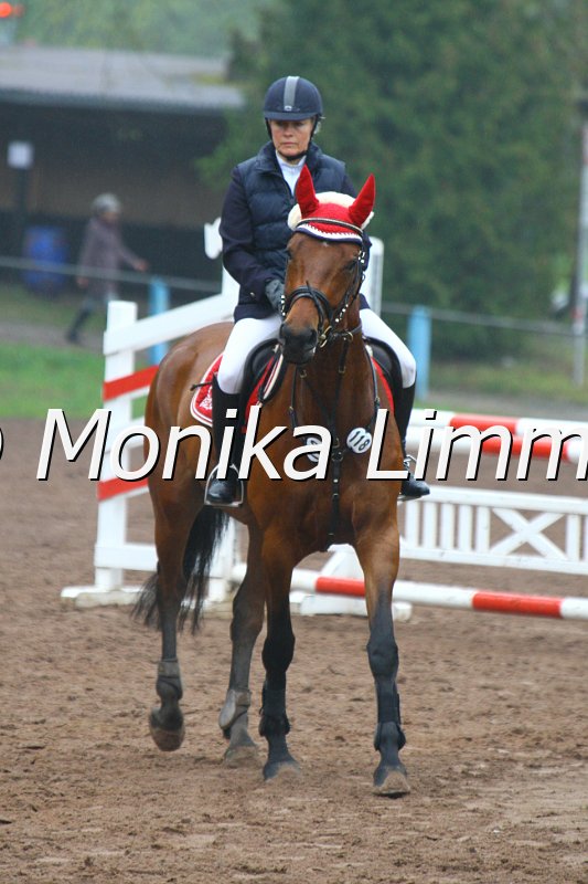 005L4631_Geraldine_Springpferde A xx.JPG